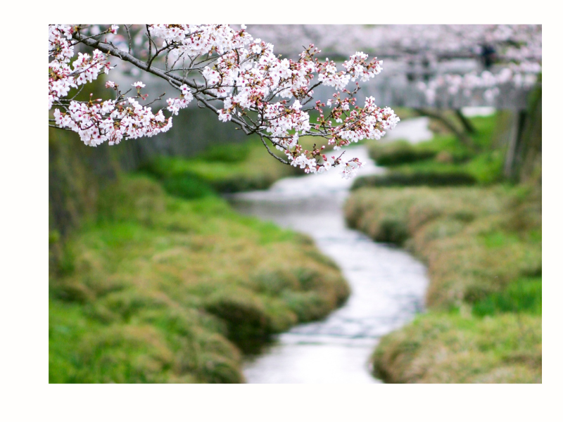 C'est retour des beaux jours avec le printemps